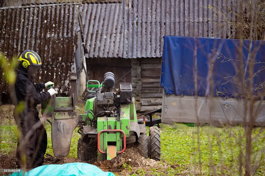 Stobbenfrees: de machine waarmee de boomstronk onder maaiveldniveau wordt weggefreesd